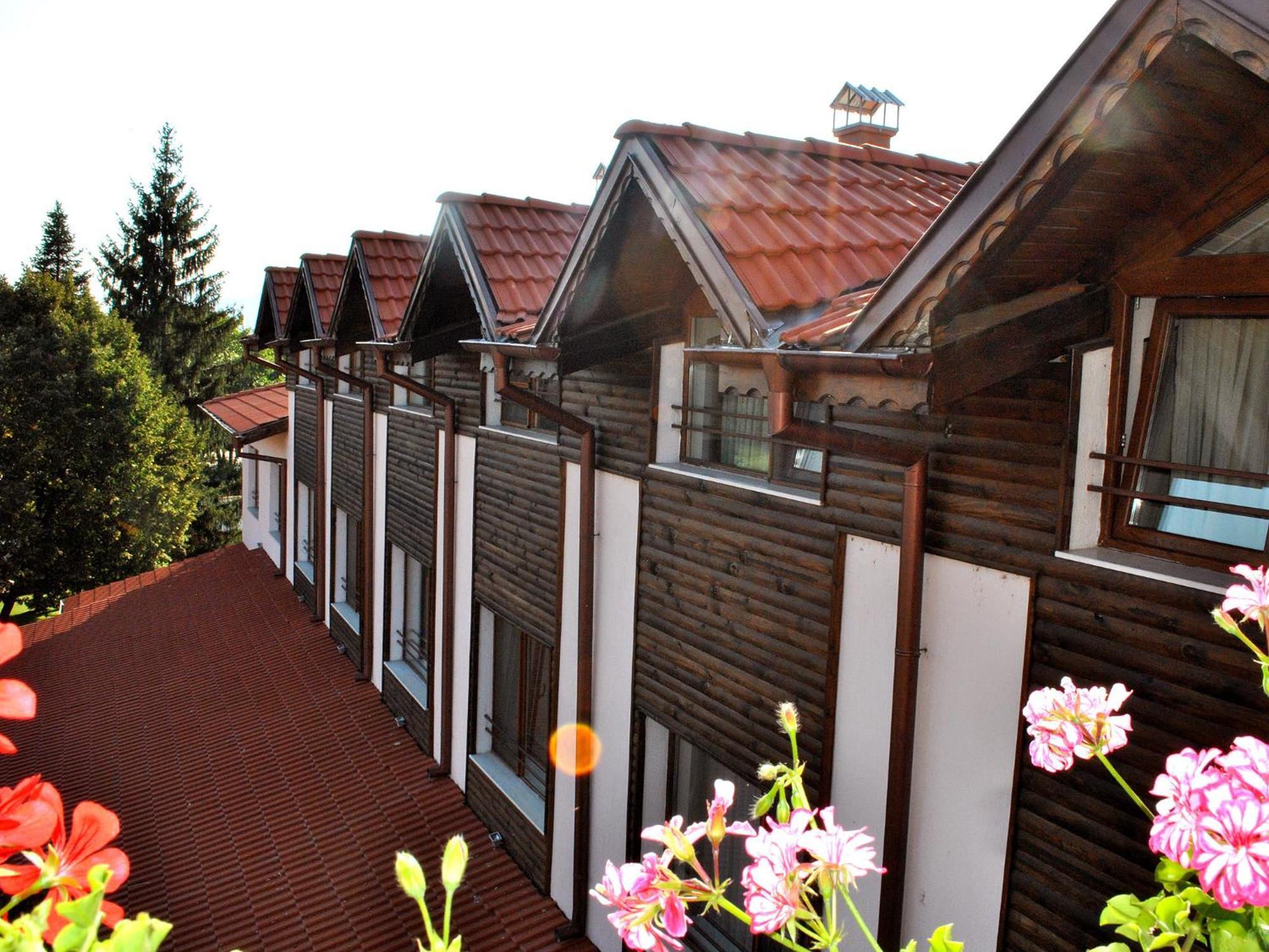 Spa Hotel Ivelia Dubnitsa Habitación foto